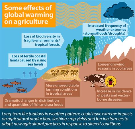 Climate Change Effects On Agriculture