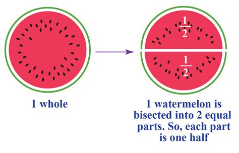 Bisect Definition, Formula and Examples - Cuemath