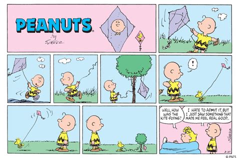 10 Funniest Peanuts Comics Where Charlie Brown Takes On The Kite-Eating ...