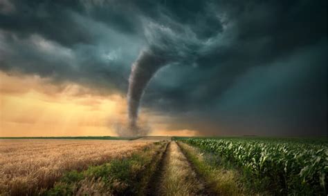 The Worst Tornadoes of All Time, and the Devastation They Caused - A-Z Animals