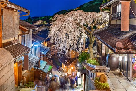 Kyoto Evening Cherry Blossom Itinerary - Inside Kyoto