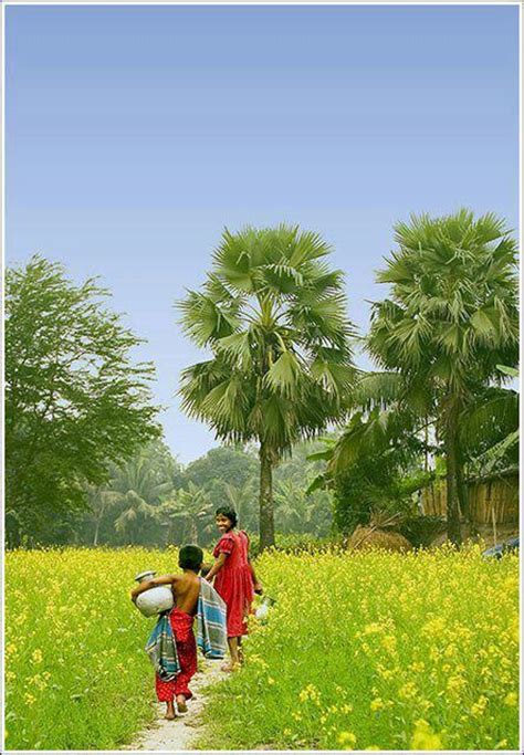 67 best images about bangladesh: rural life | বাংলাদেশঃ দেহাতি জীবন on ...