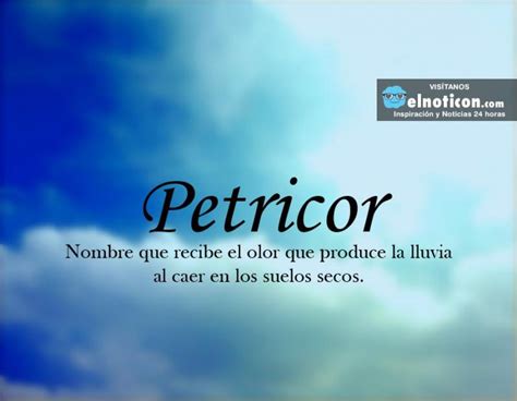 Definición de Petricor - ElNoti.com