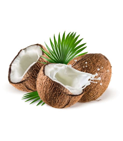 Buy Coconut Milk Scented Candles Online USA