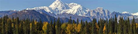 Denali National Park Hiking and Walking Tours - Wildland Trekking