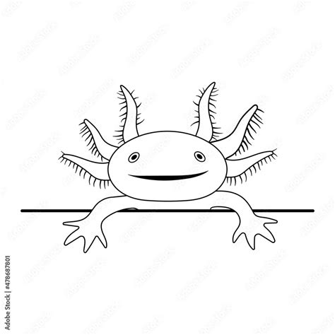 Vector illustration of axolotl salamander isolated on white background. Peeking cute axolotl ...