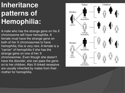 PPT - Hemophilia definition : Causes the person to bleed more ...