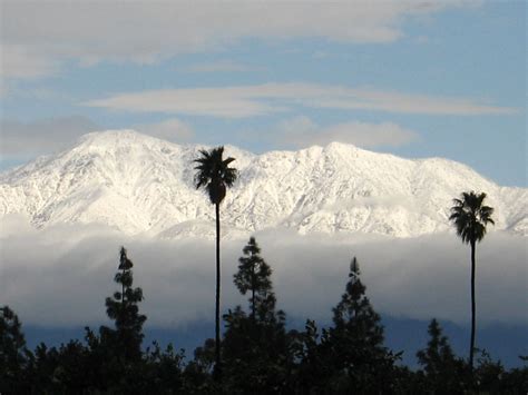 Southern California near Riverside during the winter, snow on the mountains, palms ion the floor ...