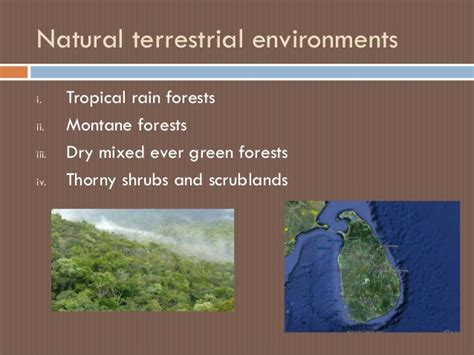 Terrestrial environments