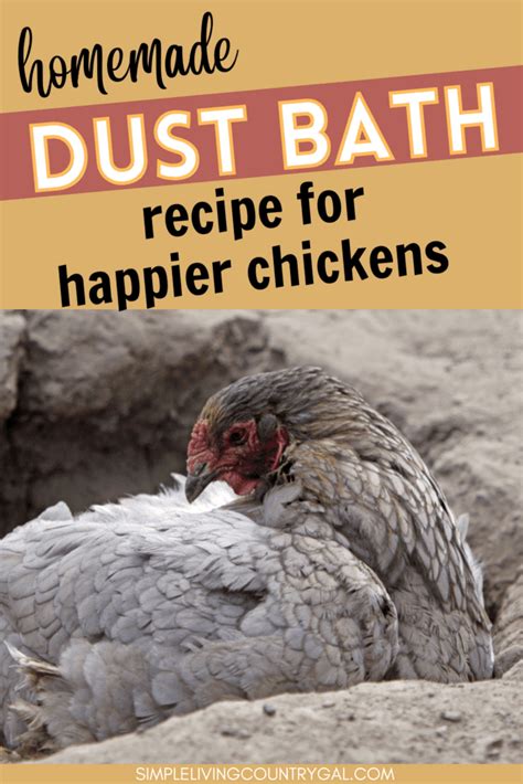 Homemade Chicken Dust Bath | Simple Living Country Gal