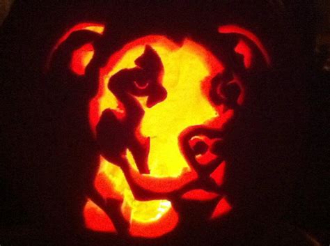 Pitbull pumpkin! | Scary pumpkin carving, Dog pumpkin, Pumpkin carving