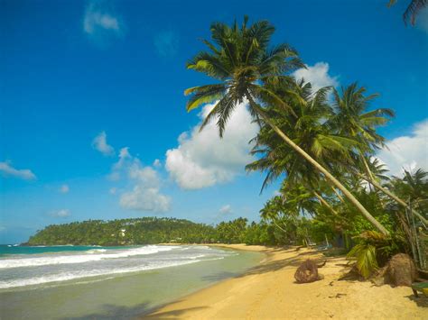 Spectacular Mirissa Beach | Hughie O'Connor | Flickr