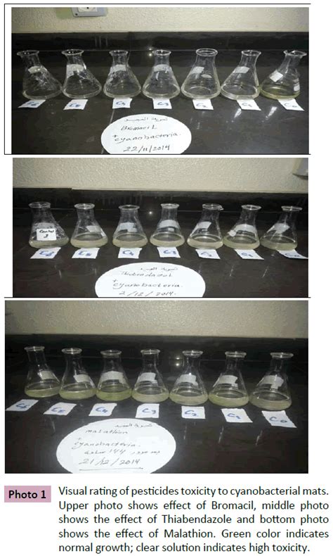 Effects of Bromacil, Malathion and Thiabendazole on Cyanobacteria Mat Growth