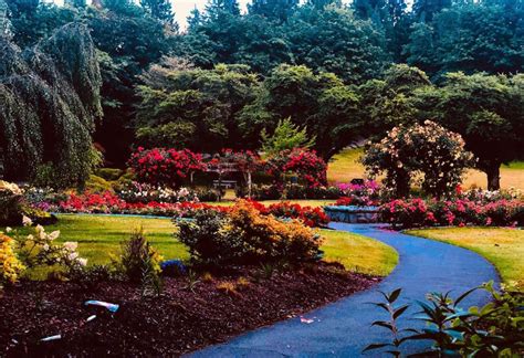 Burnaby Mountain Park Is The Perfect Stop While The Weather Is Nice ...