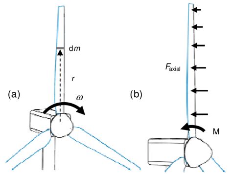 Wind Turbine Rotor Blades