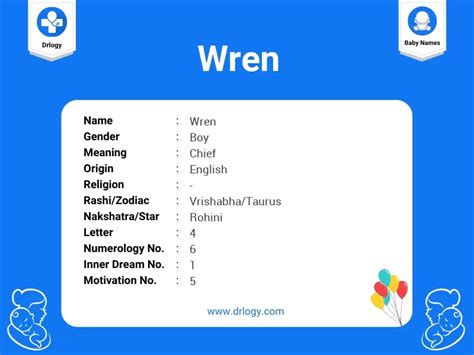 Wren Name Meaning, Origin, Numerology & Popularity - Drlogy