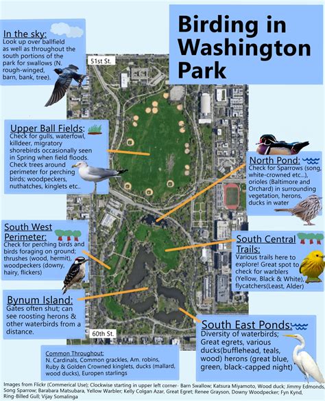 Washington Park — Chicago Audubon Society