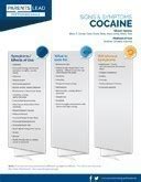 Behavioral Health Free Resources > Parents Lead > Signs & Symptoms: Cocaine