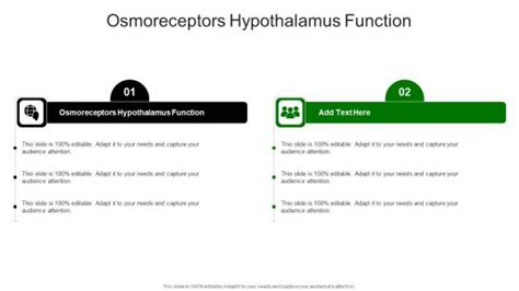 Osmoreceptors Hypothalamus Function PowerPoint templates, Slides and ...