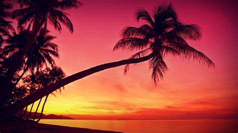 Tropical Sunset Wallpapers (37 Wallpapers) – Adorable Wallpapers | Sunset nature, Beach sunset ...