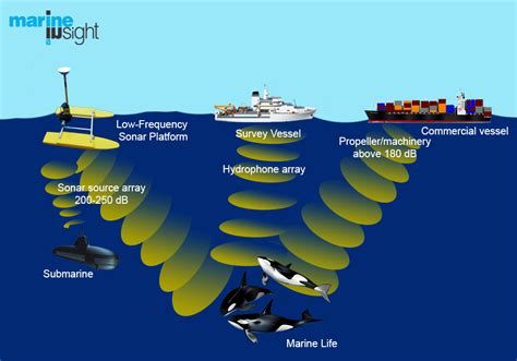 Effects of Noise Pollution from Ships on Marine Life