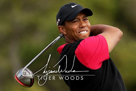 Tiger Woods Autograph: How Much Is It Worth? | Artlogo