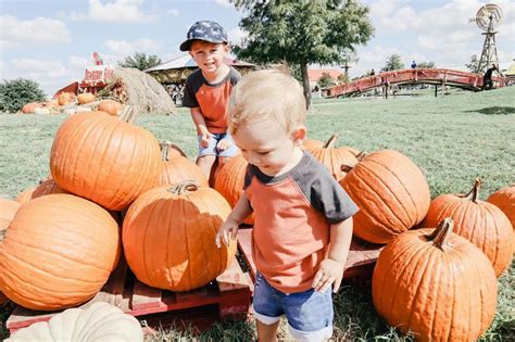 Fall Fun for the Whole Family at Dewberry Farms - HoustonOnTheCheap