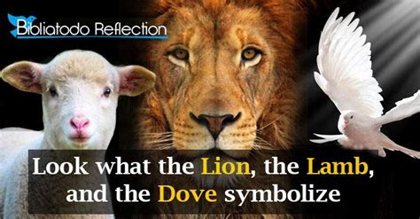 Look what the lion, the lamb, and the dove symbolize - CHRISTIAN ...