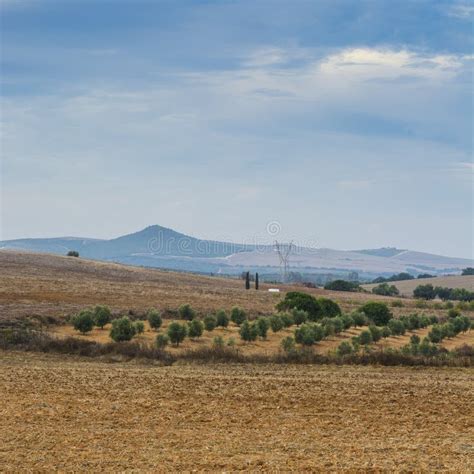 Nature of the Iberian Peninsula Stock Image - Image of environment ...