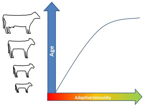 Farm Health Online – Animal Health and Welfare Knowledge Hub – Ringworm