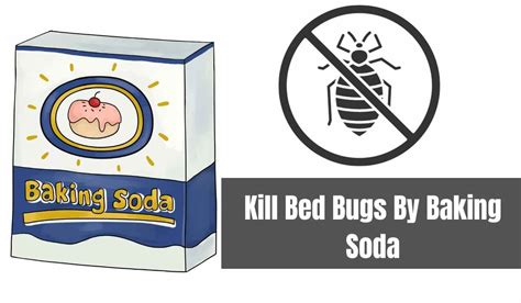 Does Baking Soda Kill Bed Bugs? - 𝐁𝐞𝐬𝐭𝐫𝐚𝐭𝐞𝐝𝐡𝐨𝐦𝐞