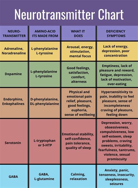 Pin by Hannah on 2024 New Ways in 2024 | Brain facts, Neuroscience, Brain health