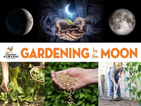 Gardening by the Moon | Planting Calendar - Farmers' Almanac