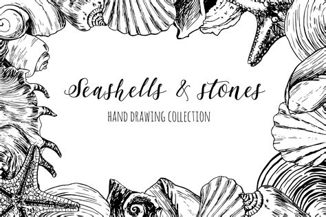 Seashells & Stones Set Graphic by Elena Dorosh Art · Creative Fabrica