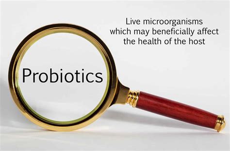 Streptococcus Thermophilus – Benefits of a Milk-Based Probiotic (UPDATE ...