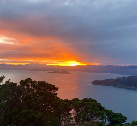 Wellington on fire this morning : r/Wellington