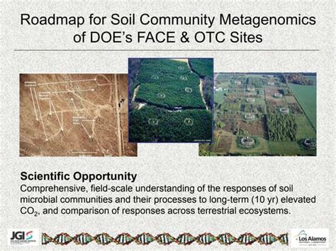 Soil Metagenomics/Community Metagenomics.ppt