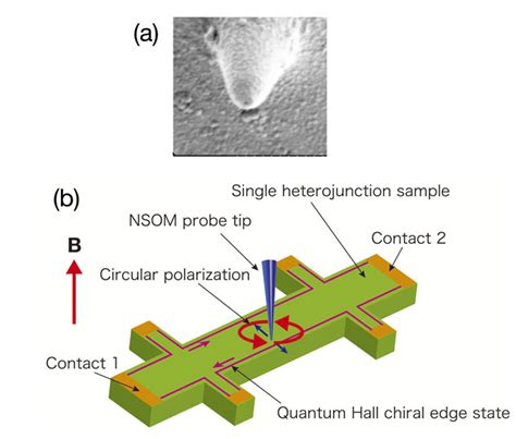 Circularly polarized near-field scanning optical microscope for investigations of edge states of ...