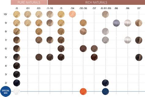 Cinemática Raridade manipular wella color chart elite entrada amanhecer