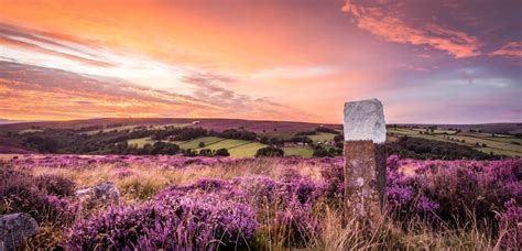 Whitby and the North York Moors - Travel Begins at 40