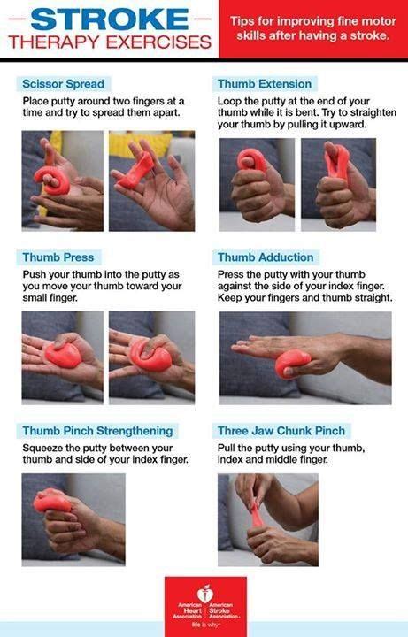 Stroke therapy exercises (occupational therapy) Geriatric Occupational Therapy, Occupational ...