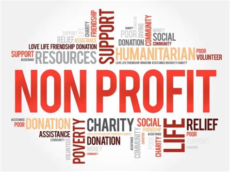 Nonprofit Corporation Page