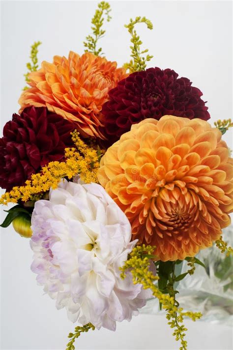 Floral Red-yellow Background Of Dahlias. Bright Flower Arrangement. A ...