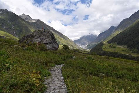 Valley of Flowers Trek & Hemkund Sahib Travel Guide