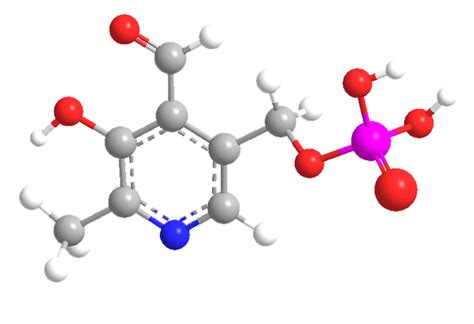 Pyridoxal 5-phosphate - American Chemical Society