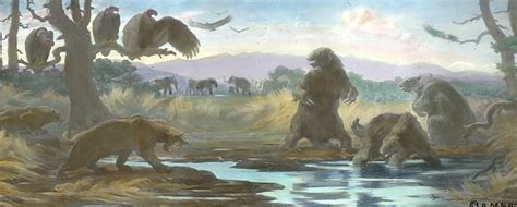 The Pleistocene Epoch – Fossil Horses