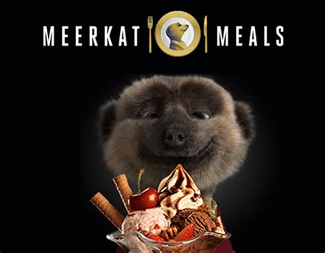 Meerkat Meals : Digital display :: Behance