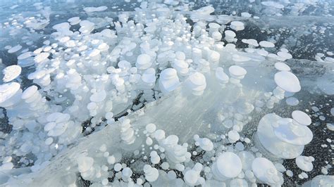 Stunning ice bubbles in frozen lake fascinate visitors - CGTN