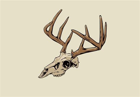 Deer Skulls Drawings