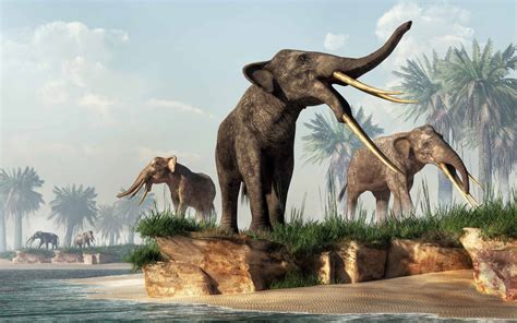 How Did Mammoths Go Extinct? - A-Z Animals